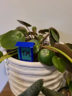 Garden Labels (Plant Tags)
