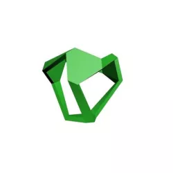 Geomagnetic shape