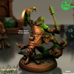 Hack, Dwarf tavern fighter