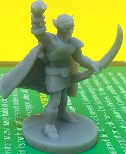 High Elf Druid