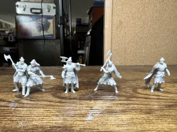 High Elf Lion Clan Fighter