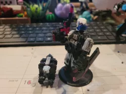 Honey Badger (animal)