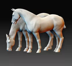 Horses