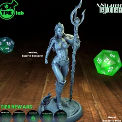 Janaina, Elf Sorcerer