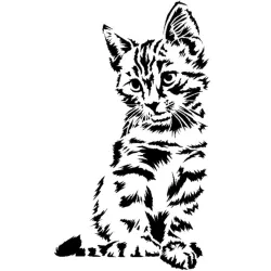 Kitten
