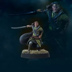 Lord Wandering Elf | Bloody Elves | Fantasy