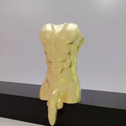 Male Torso Planter Pot with Penis