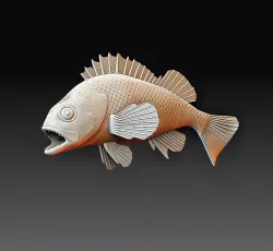 Perch fish