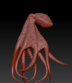 Realistic Octopus