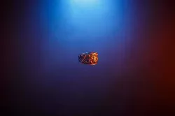 Ring - Vikings 3D Prophecy - Season 4 Episode 18 - Revenge