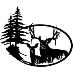 Stag and Doe