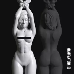Sub Series 27 – Naked & Bound Female Shadow Elf Prisoner Slave