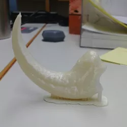 Velociraptor dinosaur claw