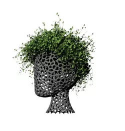 voronoi face vase