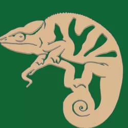 Wall decoration Cameleon