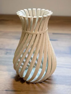 Weird Twisty Vase