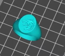 Witcher Signet Ring