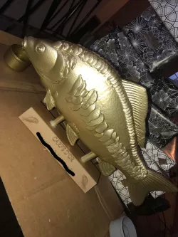 goldfish