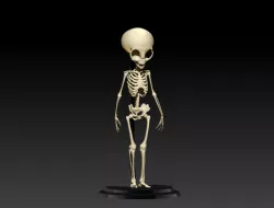 ALIEN GRAY SKELETON COMPLETE