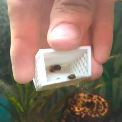 Aquarium snail catcher