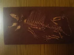Baby Dimetrodon Skeleton