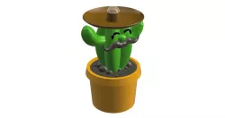 Cactus Alcancia