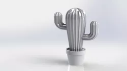 Cactus