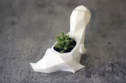 Cactus Pot Planter Dinosaur T-rex Tyrannosaurus Rex low poly