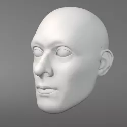 Calm middle-aged man, 3D model of head