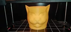 cat pot / vase