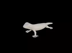 Chamaeleonidae