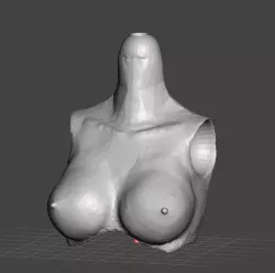 chest