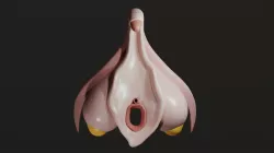Clitoris Anatomy - Aroused Clitoris