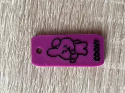Cooky keychain