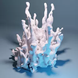 Coral Support Set