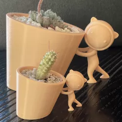 Cute Succulent Pot Design 1