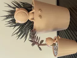 Cute Succulent Pot Design 2