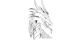 DRAGON 2D