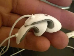 Earphones that Fit!