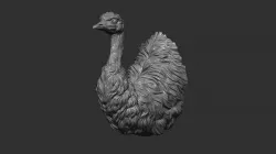 Emu bust