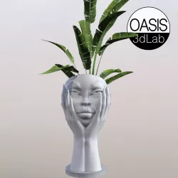 FACE  POT -NO SUPPORTS