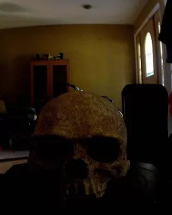 First digitizer scan - Skull