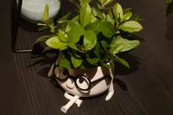 Flower Pot - Blooming Buddy