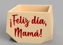 Geometric Mother's Day Flowerpot