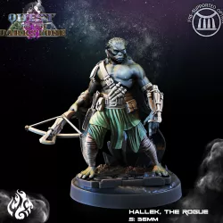 Hallek, the Rogue