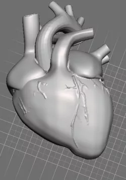 heart heart