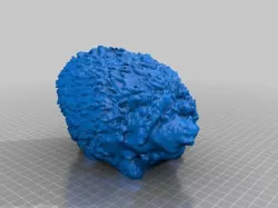 Hedgehog