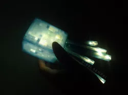 Minecraft glowing squid / Minecraft glowsquid lamp