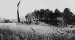 MONUMENT MYTHOS - SPECIAL TREE