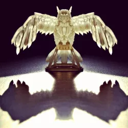 Multi-Poly Owl